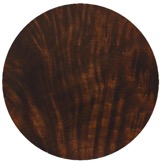 curly walnut